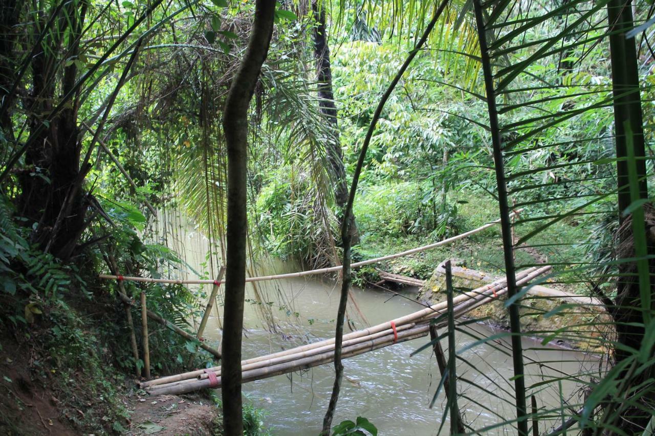 Villa Sindu Ubud ภายนอก รูปภาพ